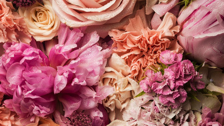 Flora.jpg
