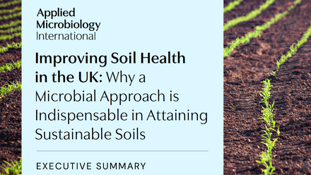 Soil_ExecutiveSum.png